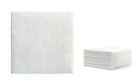 SALVETA BIJELA 100/1 33*33CM NEN.